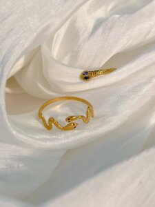 Hexingsheng Jewelry | Discover Snake Themed Jewelry for Modern Fashion Trends Discover Snake Themed Jewelry for Modern Fashion Trends